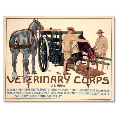 Veterinary Corps Poster